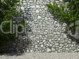 illuminated stone wall and ivy
