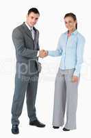 Business partner greeting each other against a white background
