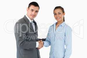 Smiling business partners closing a deal