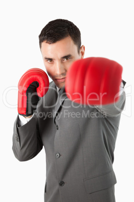 Close up of boxing businessman