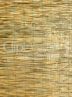 Bamboo background