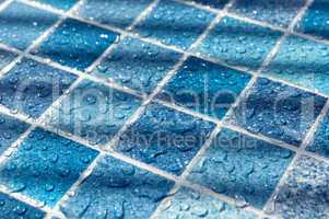 Blue Tiles in Swimming Pool