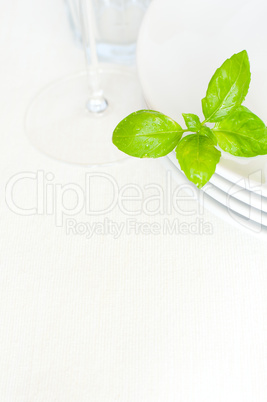 White Plates on Table