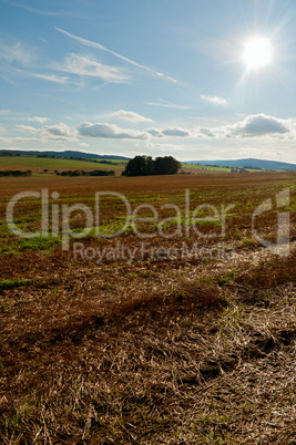 Harvested Agricultural Field