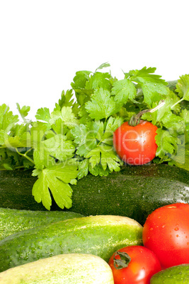 Fresh Vegetables