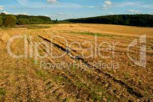 Harvested Agricultural Field