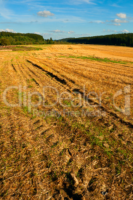 Harvested Agricultural Field