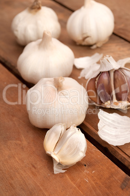 Garlic