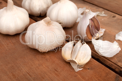 Garlic