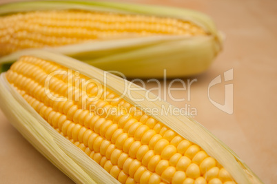 Corn Cobs