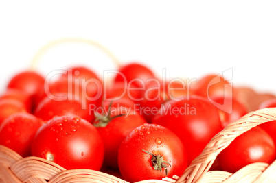 Tomatoes in Basket