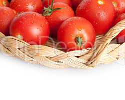 Tomatoes in Basket