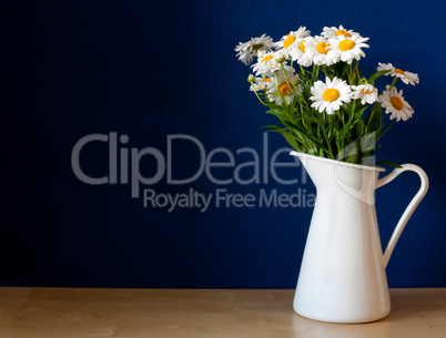 Oxeye Daisies in the Pitcher