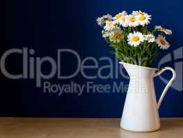 Oxeye Daisies in the Pitcher