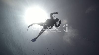 Silhouette of Scuba diver
