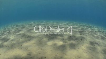 Fish eye view of the shallows of a sandy lagoon