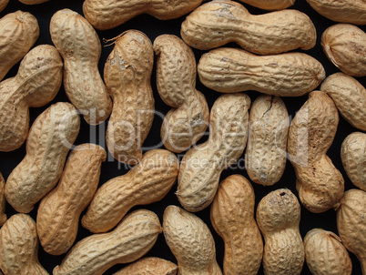 Peanut picture
