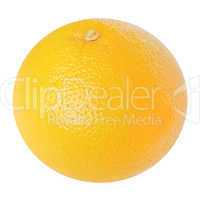 Grapefruit picture