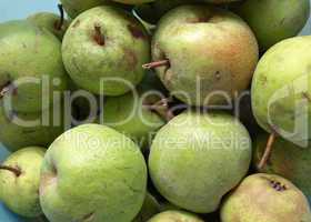 Pears picture