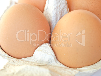 Eggs picture