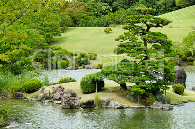 Japanese garden