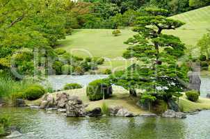 Japanese garden