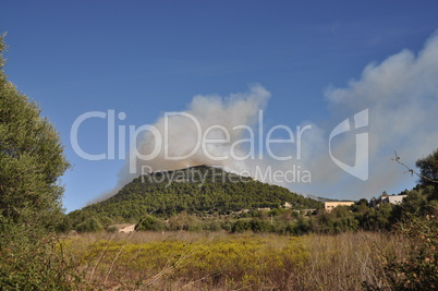 Waldbrand auf Mallorca