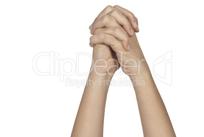 Praying Hands Isolated On White Background