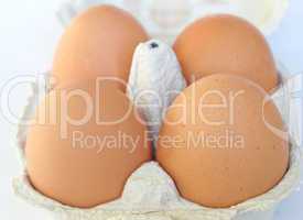 Eggs picture