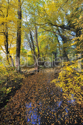 Herbststimmung