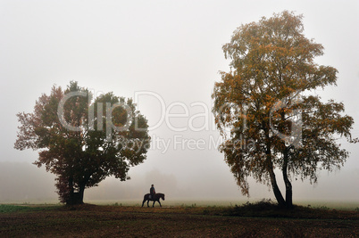 Herbststimmung