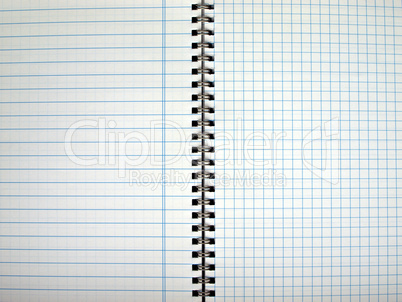 Blank notebook page