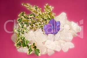 Autumnal rock crystal with ivy and blossom