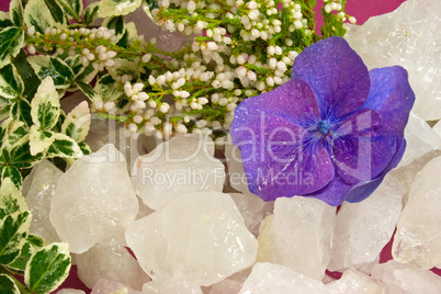 Autumnal rock crystal with ivy and blossom