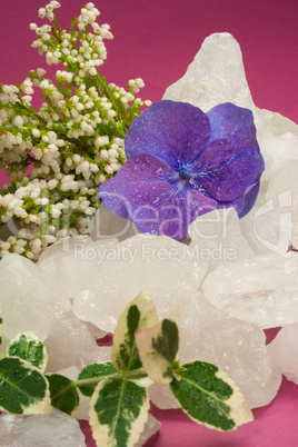 Autumnal rock crystal with ivy and blossom