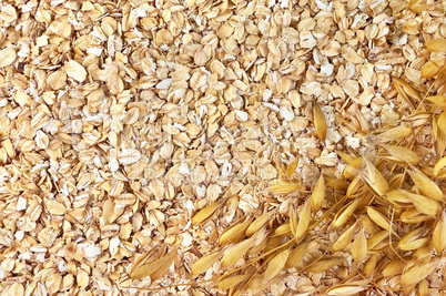 The texture of oatmeal with oat stems to the right