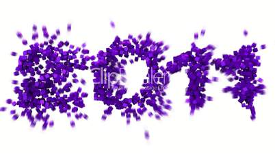 violetter schwarm wechselt form von 2011 zu 2012
