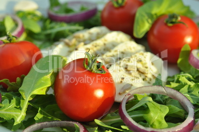 Rucola - Tomaten - Mozarella Salat