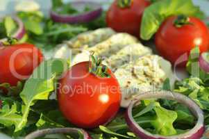 Rucola - Tomaten - Mozarella Salat