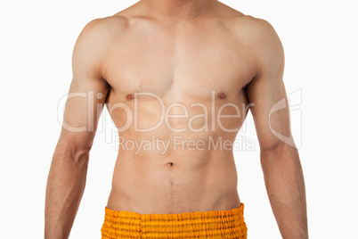 Male torso