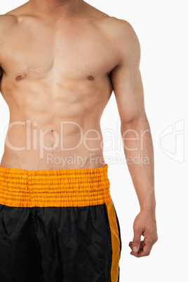 Sporty male torso