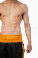 Sporty male torso