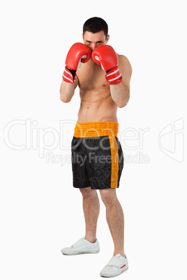 Young boxer taking cover