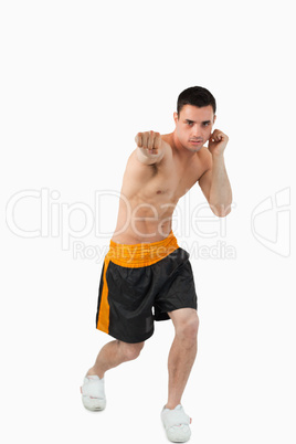 Young boxer attacking