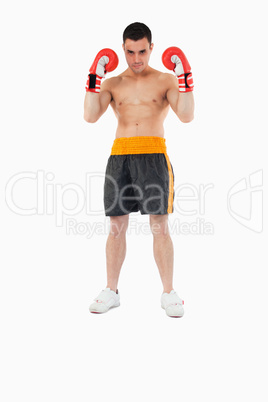 Boxer with strong fighting spirit