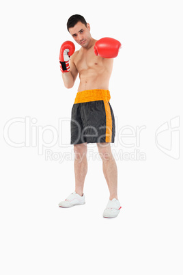 Boxer presenting his left fist