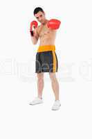 Boxer presenting his left fist