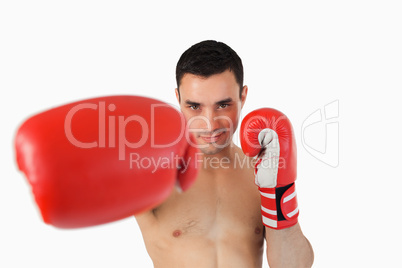 Boxer presenting his right fist