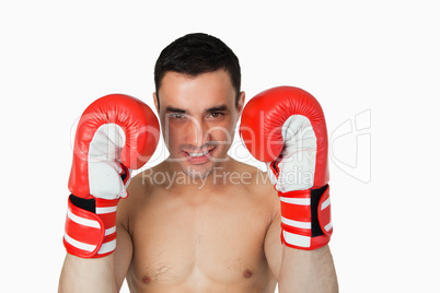 Smiling boxer taking cover