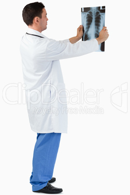 Portrait of a doctor looking at x-ray